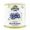 Augason Farms 5-11106 Freeze Dried Whole Blueberries 12 oz #10 Can