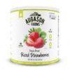 Augason Farms 5-11109 Freeze Dried Sliced Strawberries 6.4 oz #10 Can